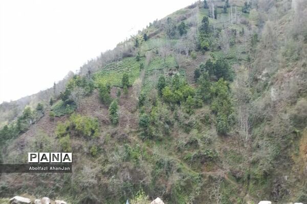 طبیعت بهاری روستای لونک