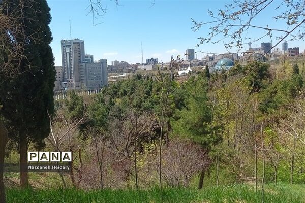 پل طبیعت، از مکان‌های دیدنی تهران