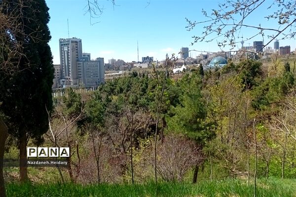 پل طبیعت، از مکان‌های دیدنی تهران