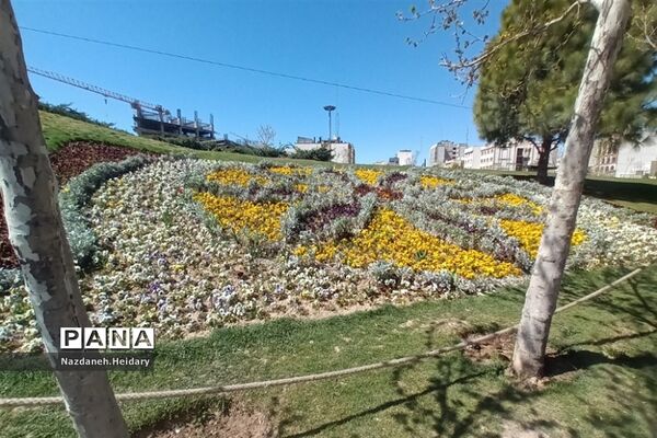 پل طبیعت، از مکان‌های دیدنی تهران