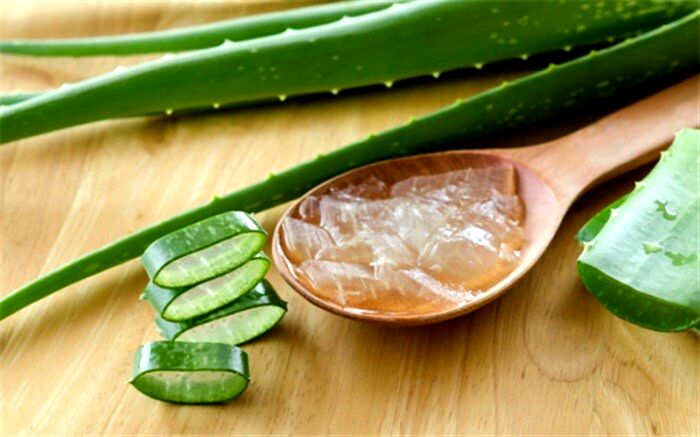 رازهای جادویی آلوئه ورا