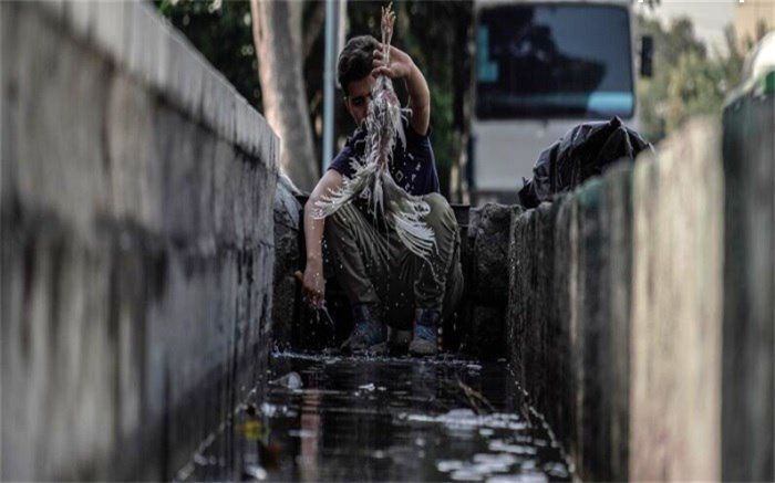 «کشتار روز تهران» در صربستان