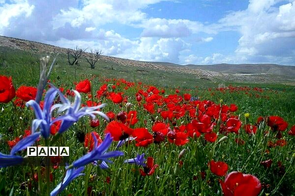 طبیعت زیبای روستای اسفندان