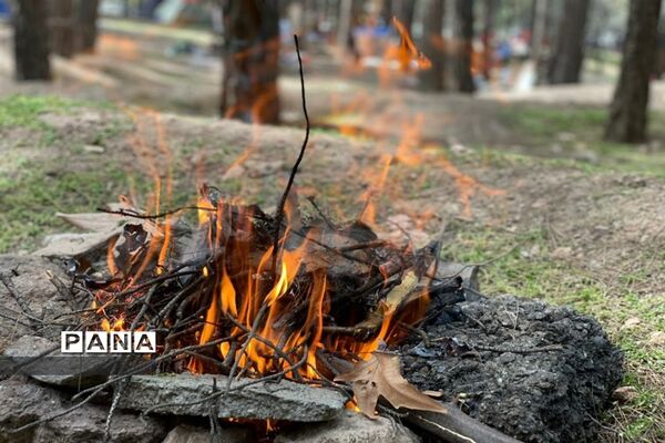 روز طبیعت در جنگل سرخه حصار تهران