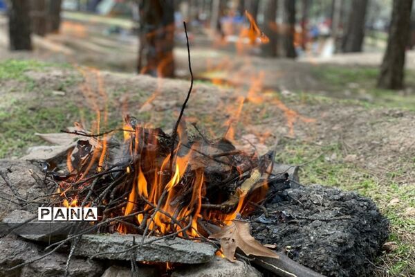 روز طبیعت در جنگل سرخه حصار تهران