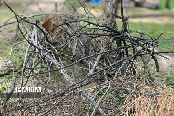 روز طبیعت در جنگل سرخه حصار تهران