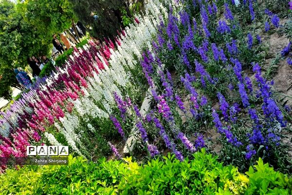 باغ ارم یکی از قلعه‌های اصلی دوران قاجار