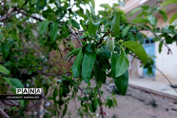 طبیعت زیبای روستاهای هومبر و دوک