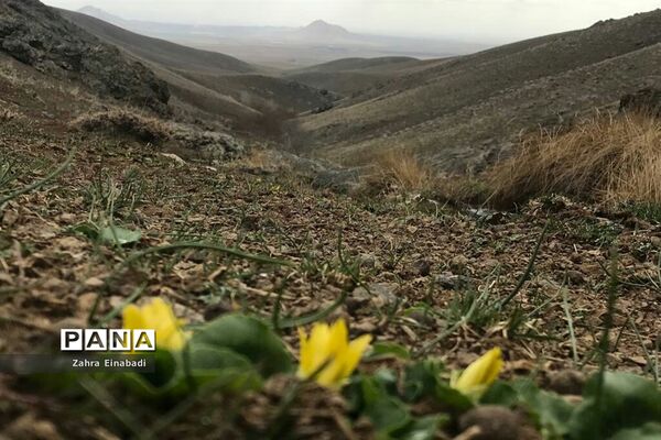 سفری  به روستای عین‌آباد