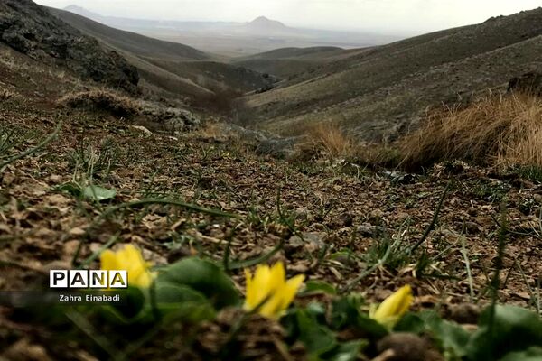 سفری  به روستای عین‌آباد