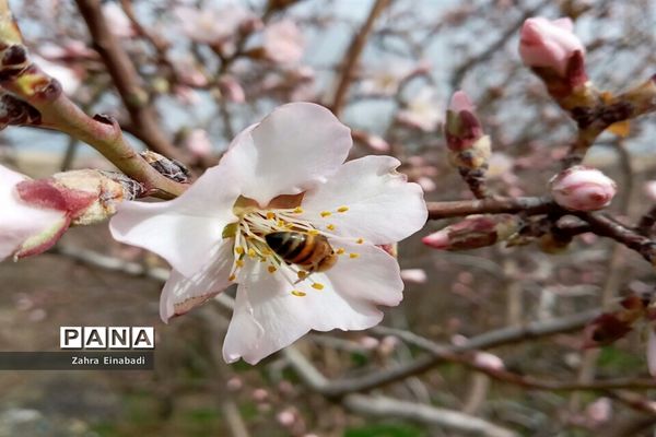 سفری  به روستای عین‌آباد