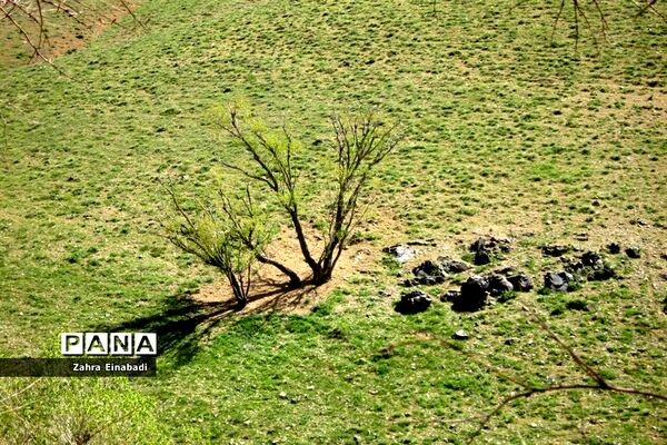 سفری  به روستای عین‌آباد