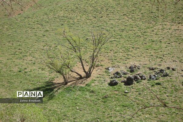 سفری  به روستای عین‌آباد