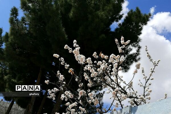 طبیعت زیبای بهاری روستای حصار دماوند