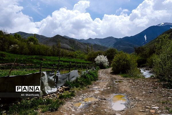 طبیعت زیبای منطقه کوهستانی البرز مرکزی