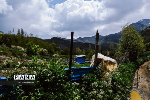 طبیعت زیبای منطقه کوهستانی البرز مرکزی