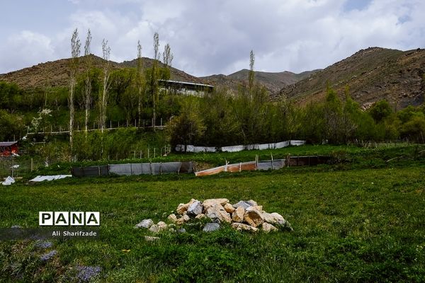 طبیعت زیبای منطقه کوهستانی البرز مرکزی