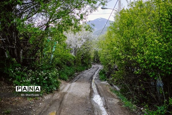 طبیعت زیبای منطقه کوهستانی البرز مرکزی