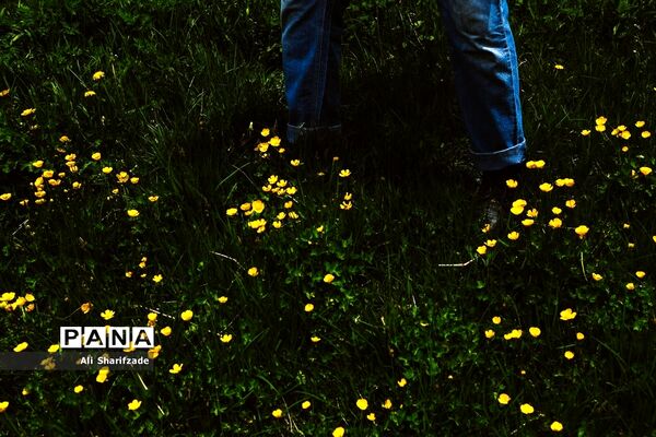 طبیعت زیبای منطقه کوهستانی البرز مرکزی