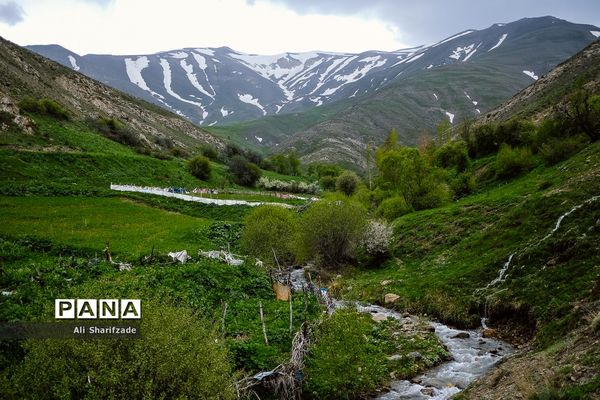 طبیعت زیبای منطقه کوهستانی البرز مرکزی