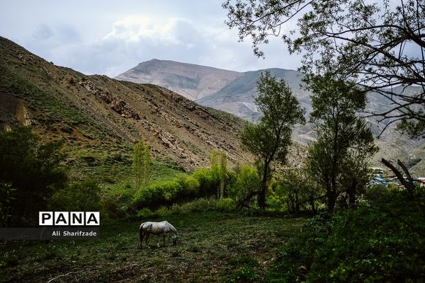طبیعت زیبای منطقه کوهستانی البرز مرکزی