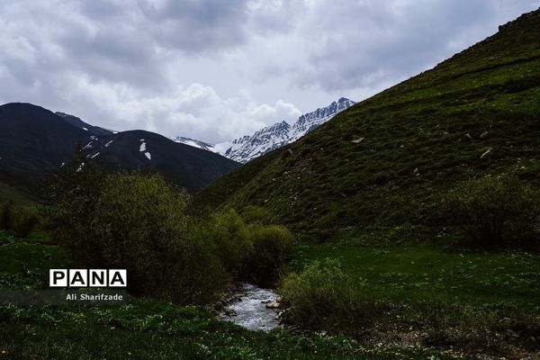 طبیعت زیبای منطقه کوهستانی البرز مرکزی