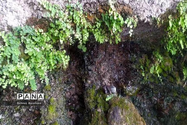 غار لادیز؛ جاذبه‌ای طبیعی و جذاب در فصل بهار