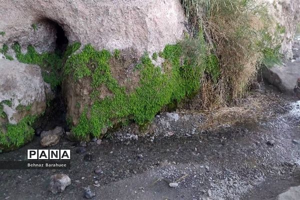 غار لادیز؛ جاذبه‌ای طبیعی و جذاب در فصل بهار