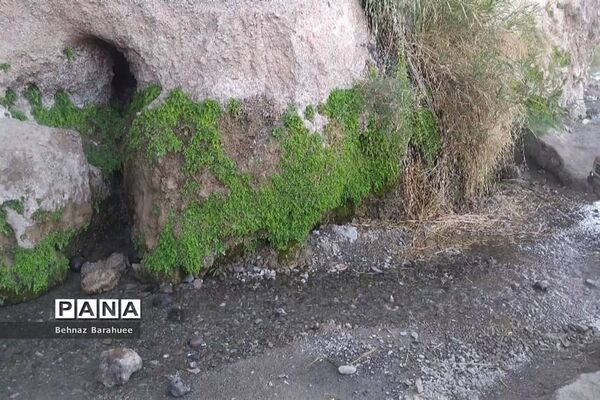 غار لادیز؛ جاذبه‌ای طبیعی و جذاب در فصل بهار