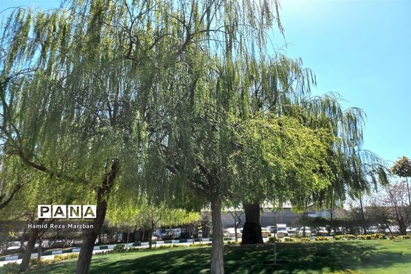 مجموعه ورزشی بوستان ولایت تهران