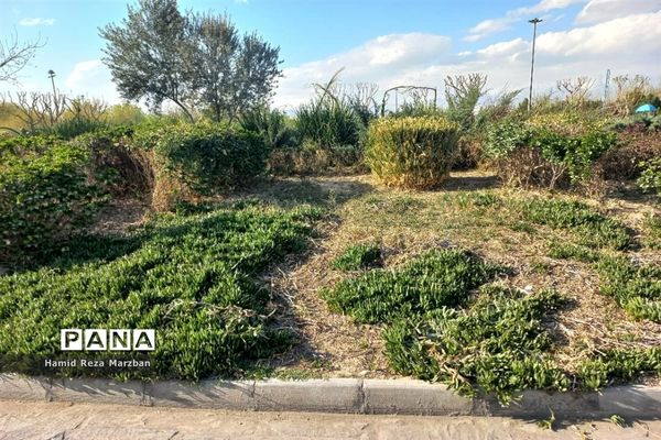 مجموعه ورزشی بوستان ولایت تهران