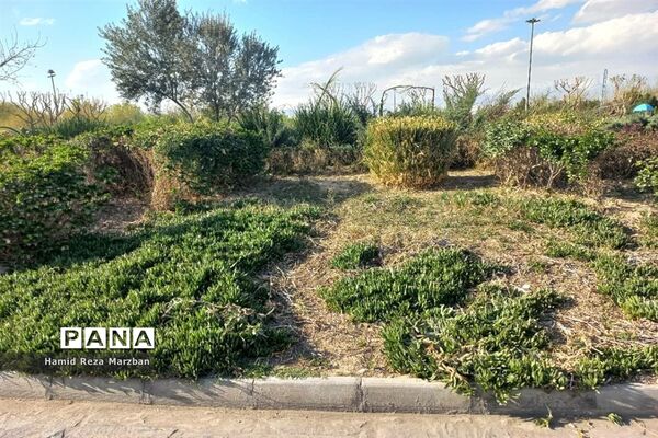 مجموعه ورزشی بوستان ولایت تهران