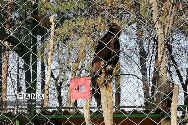 باغ وحش وکیل‌آباد در مشهد مقدس