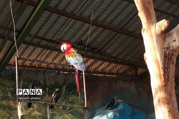 باغ وحش وکیل‌آباد در مشهد مقدس