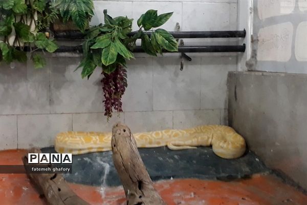 باغ وحش وکیل‌آباد در مشهد مقدس