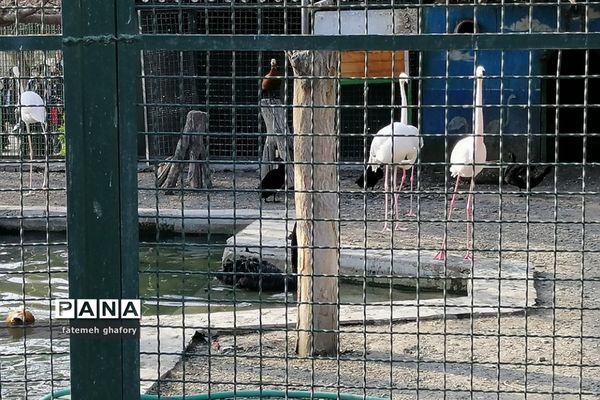 باغ وحش وکیل‌آباد در مشهد مقدس