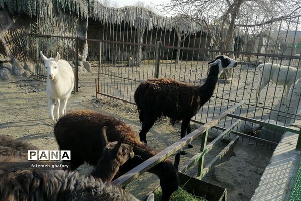 باغ وحش وکیل‌آباد در مشهد مقدس