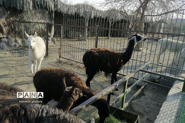 باغ وحش وکیل‌آباد در مشهد مقدس