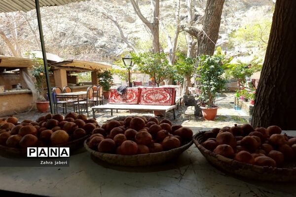 «درّه درکه» در شهر تهران