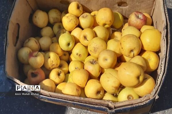 بازارچه محلی در قائم‌شهر