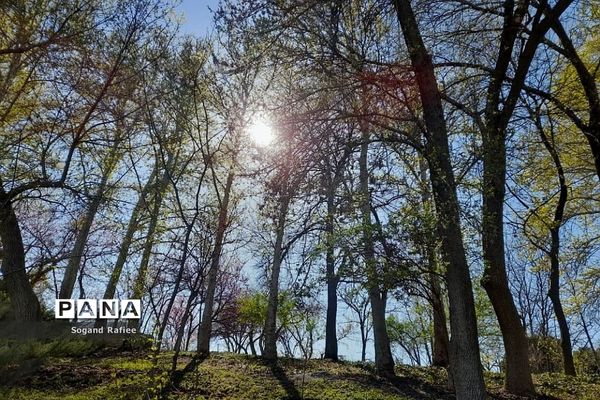 طبیعت زیبای بهاری باغ گیاه‌شناسی ملی ایران