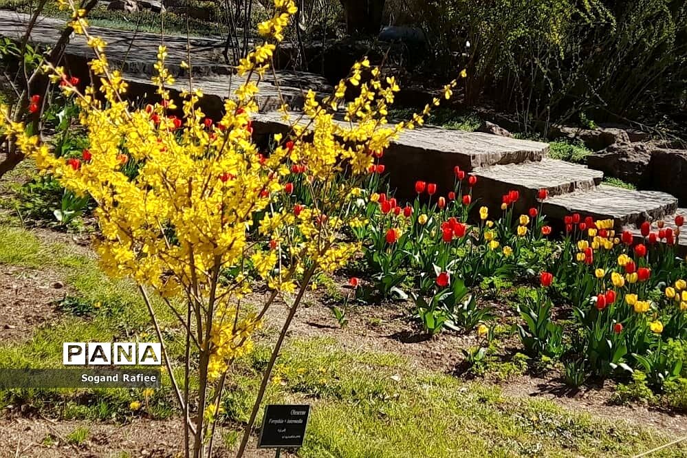 طبیعت زیبای بهاری باغ گیاه‌شناسی ملی ایران