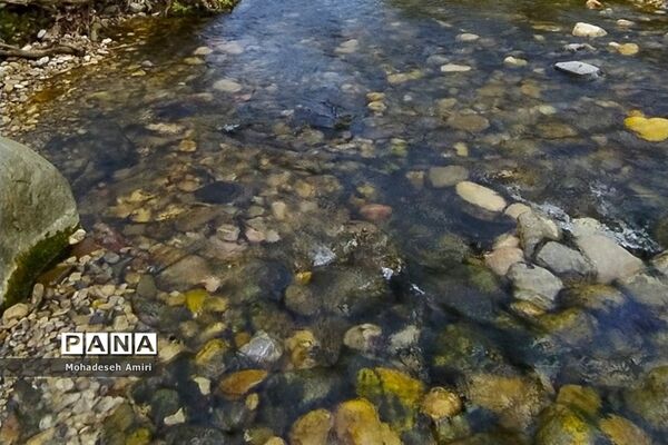 لاویج؛ بهشت گمشده مازندران
