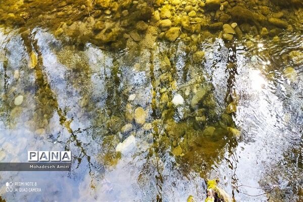 لاویج؛ بهشت گمشده مازندران