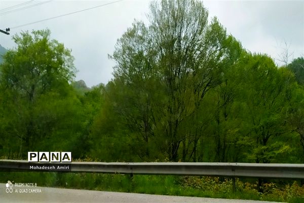 لاویج؛ بهشت گمشده مازندران