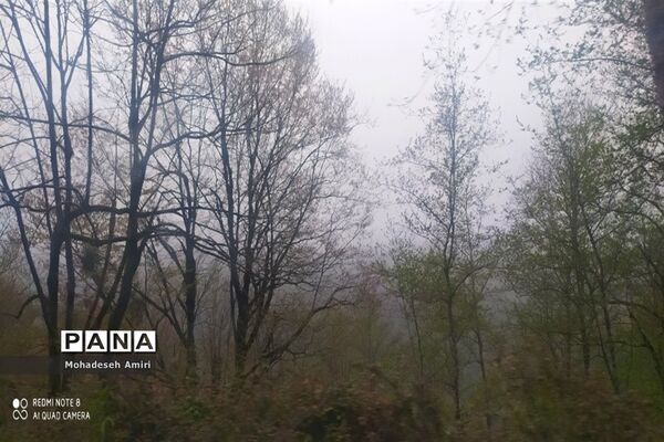 لاویج؛ بهشت گمشده مازندران