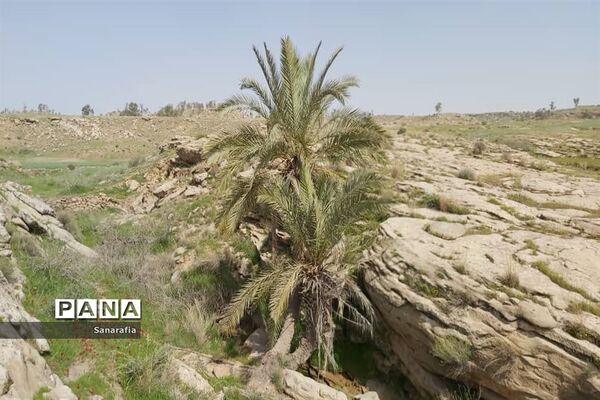 طبیعت زیبای سردشت دزفول در بهار1401