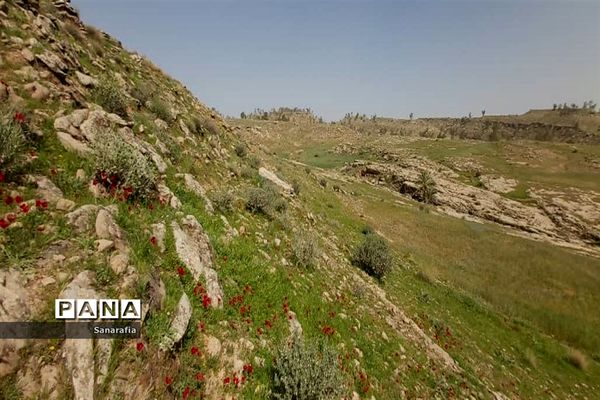 طبیعت زیبای سردشت دزفول در بهار1401