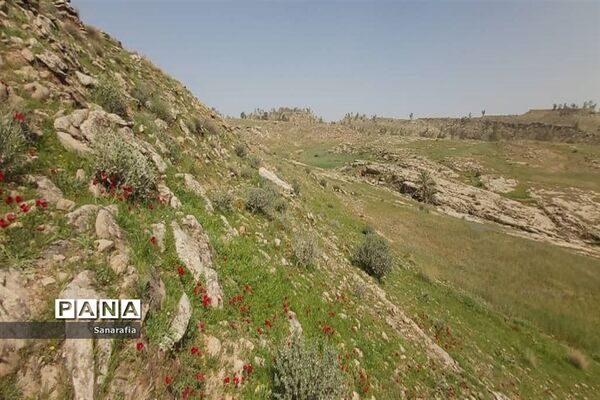 طبیعت زیبای سردشت دزفول در بهار1401