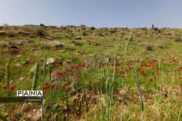 طبیعت زیبای سردشت دزفول در بهار1401